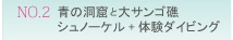 青の洞窟と大サンゴ礁シュノーケル＋体験ダイビング