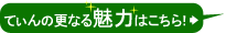 てぃんの更なる魅力はこちらから！