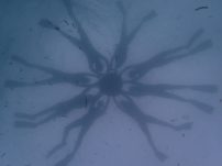 P9120068