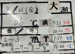 S__68009986