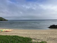 本日の海峡画像