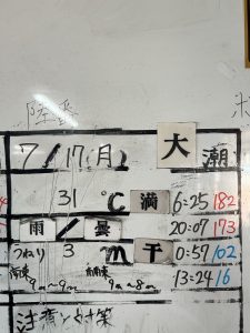 S__31809540
