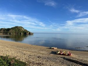 B7BCED93-2240-4A9F-8373-6CD8E8D097DE