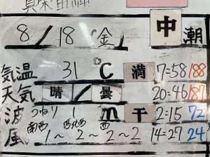 S__33398791