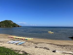 19DB1686-8B59-4A9C-AFCC-E00EF21003BC