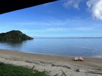 660D9A0B-B260-4EC2-AFEC-7413CA4CBCD3