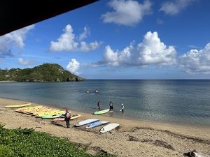 7C39D29D-B81E-44BE-9B28-08E78ED29692