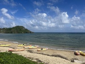 917CFCE7-C946-4120-8D7C-26A0B4281F68