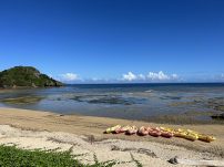 D1FE1FCE-C1F5-41A1-94F2-5DEF6649DEB6