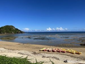 D1FE1FCE-C1F5-41A1-94F2-5DEF6649DEB6