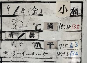 S__204193797