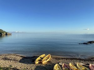 S__204406789