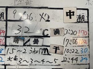 S__204816386