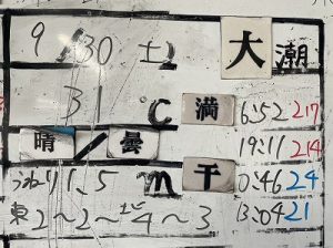S__204906498