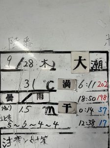 S__31973380