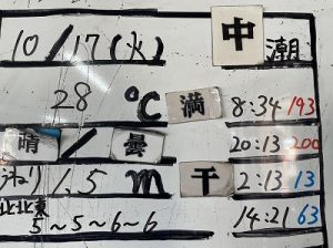 S__205398021