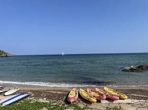 S__205398023