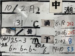 S__39919628