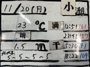S__7872520