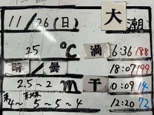 S__8716292