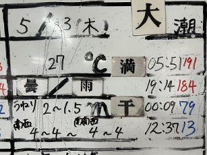 S__38543370