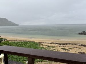 S__219512836_0