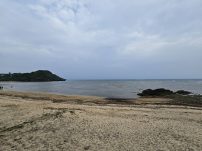 本日の海峡画像