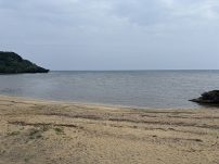本日の海峡画像
