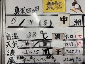 S__230490120_0