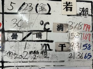 S__34349058_0