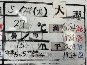 S__34381826_0