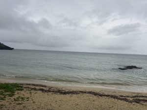 S__34390025_0