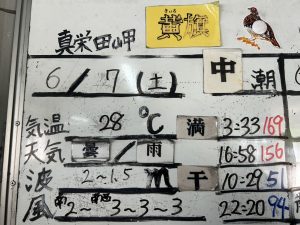 S__34447363_0