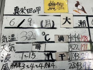 S__34463746_0