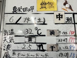 S__34496538_0