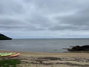 S__86155271_0