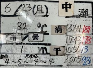 S__88702984_0