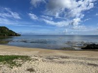 本日の海峡画像