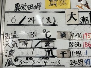 S__88891395_0