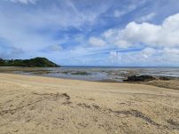 本日の海峡画像