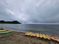 本日の海峡画像