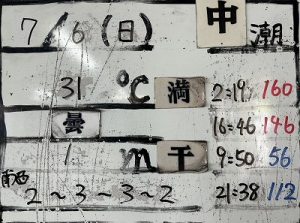 S__90742788_0