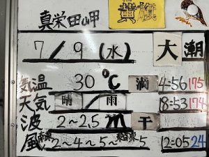 S__91160580_0