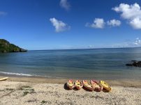 本日の海峡画像