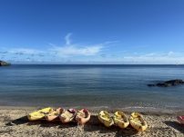 本日の海峡画像