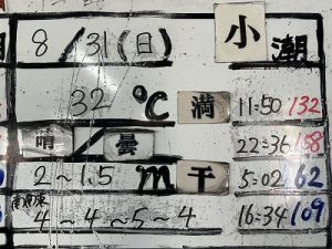 S__95240197_0