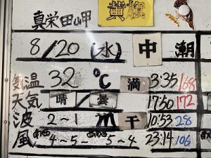 S__9650185_0