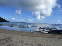 本日の海峡画像