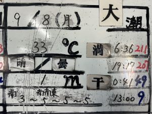 S__34979842_0