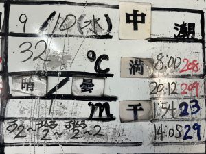 S__34996230_0